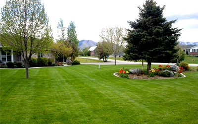 commercial and residential mowing services