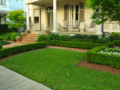 Yard Care Lawn Mowing
